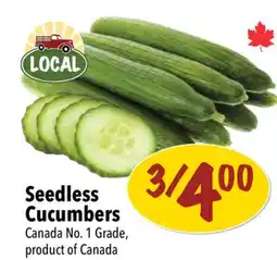 Farm Boy Seedless Cucumbers offer