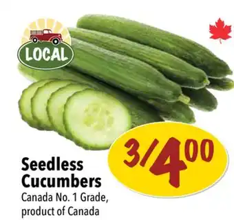 Farm Boy Seedless Cucumbers offer