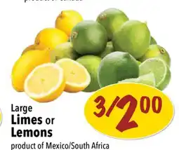 Farm Boy Large Limes or Lemons offer