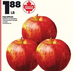 Loblaws FUJI APPLES offer