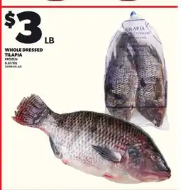 Loblaws WHOLE DRESSED TILAPIA offer