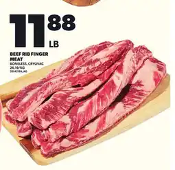 Loblaws BEEF RIB FINGER MEAT offer