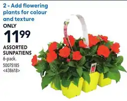 RONA ASSORTED SUNPATIENS offer
