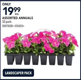 RONA ASSORTED ANNUALS offer