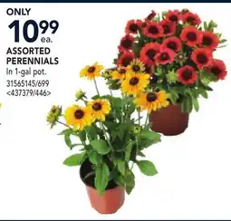RONA ASSORTED PERENNIALS offer