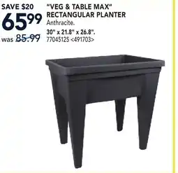 RONA VEG & TABLE MAX RECTANGULAR PLANTER offer