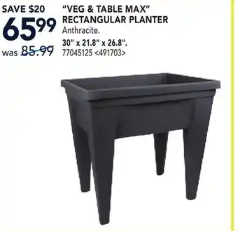 RONA VEG & TABLE MAX RECTANGULAR PLANTER offer