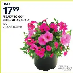 RONA READY TO GO REFILL OF ANNUALS 10 offer