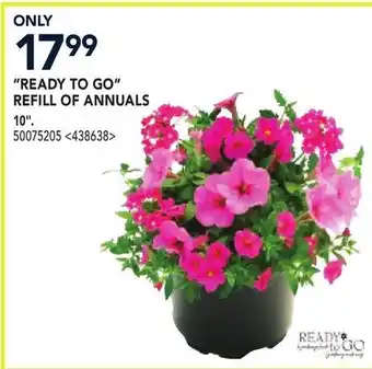 RONA READY TO GO REFILL OF ANNUALS 10 offer