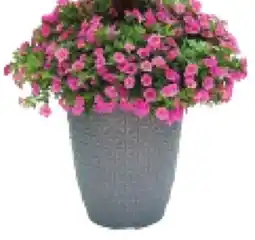 RONA Patio planter offer