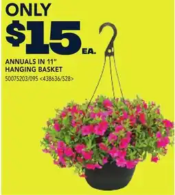 RONA ANNUALS IN 11 HANGING BASKET offer