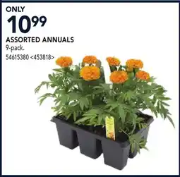 RONA ASSORTED ANNUALS offer
