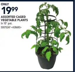RONA ASSORTED CAGED VEGETABLE PLANTS offer