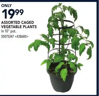 RONA ASSORTED CAGED VEGETABLE PLANTS offer