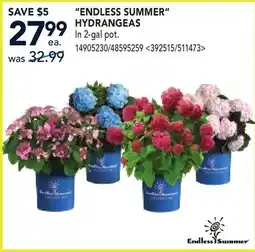 RONA ENDLESS SUMMER HYDRANGEAS offer