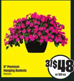 Chalo FreshCo 11 Premium Hanging Baskets offer
