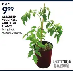 RONA ASSORTED VEGETABLE AND HERB PLANTS offer