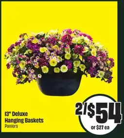 Chalo FreshCo 13 Deluxe Hanging Baskets offer