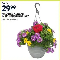 RONA ASSORTED ANNUALS IN 12 HANGING BASKET offer