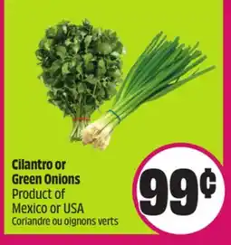 Chalo FreshCo Cilantro or Green Onions Product of Mexico or USA offer