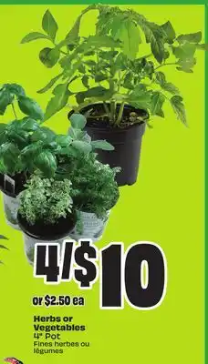 Chalo FreshCo Herbs or Vegetables 4 Pot offer