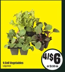 Chalo FreshCo 4 Cell Vegetables Légumes offer