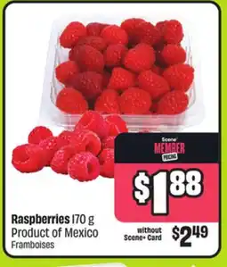 FreshCo Raspberries 170 g Product of Mexico offer