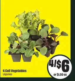 FreshCo 4 Cell Vegetables offer