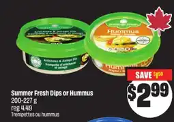 FreshCo Summer Fresh Dips or Hummus 200-227 g offer