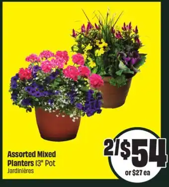 Chalo FreshCo Assorted Mixed Planters 13 Pot offer