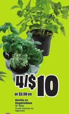 FreshCo Herbs or Vegetables 4 Pot offer