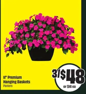 FreshCo 11 Premium Hanging Baskets offer