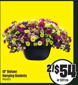 FreshCo 13 Deluxe Hanging Baskets offer