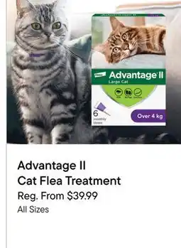 Petvalu Advantage II Cat Flea Treatment offer
