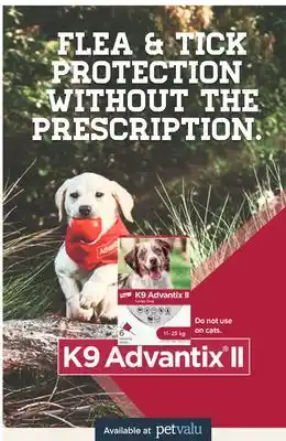 Petvalu K9 Advantix II Flea and Tick Treatment for Dogs offer