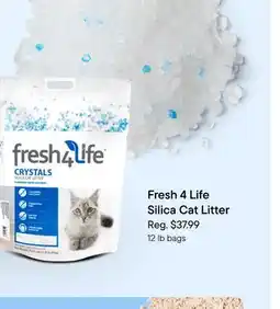Petvalu Fresh 4 Life Silica Cat Litter offer