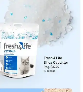 Petvalu Fresh 4 Life Silica Cat Litter offer
