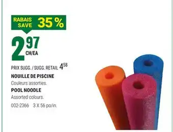 BMR NOUILLE DE PISCINE offer
