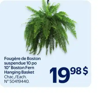 Walmart Hanging Basket offer