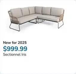 Club Piscine Sectionnel Iris offer