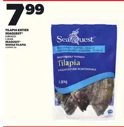 Provigo TILAPIA ENTIER SEAQUEST , 1,36 KG offer