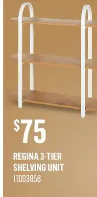 Canac Regina 3-Tier Shelving Unit offer