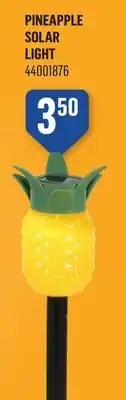 Canac Pineapple Solar Light offer