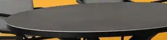 Canac Ovale Garden Table offer