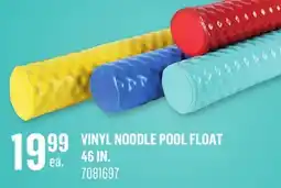 Canac Vinyl Noodle Pool Float 46 in offer