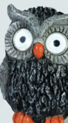 Canac SOLAR OWL offer