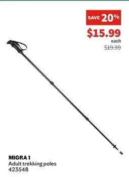 Atmosphere MCKINLEY - Migra 1 - Adult trekking pole offer
