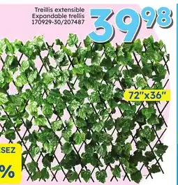 Rossy Expandable trellis offer