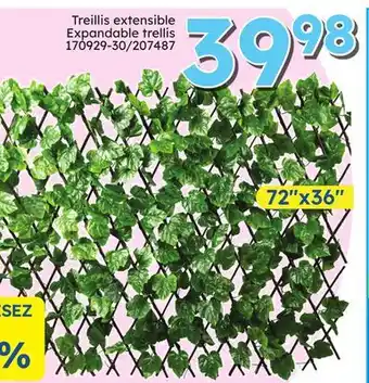 Rossy Expandable trellis offer