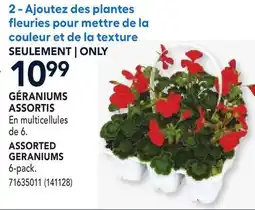 RONA ASSORTED GERANIUMS offer